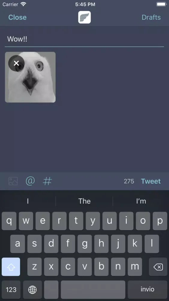 Ảnh chụp màn hình của Fenix for Twitter