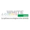 WHITE & COLORS
