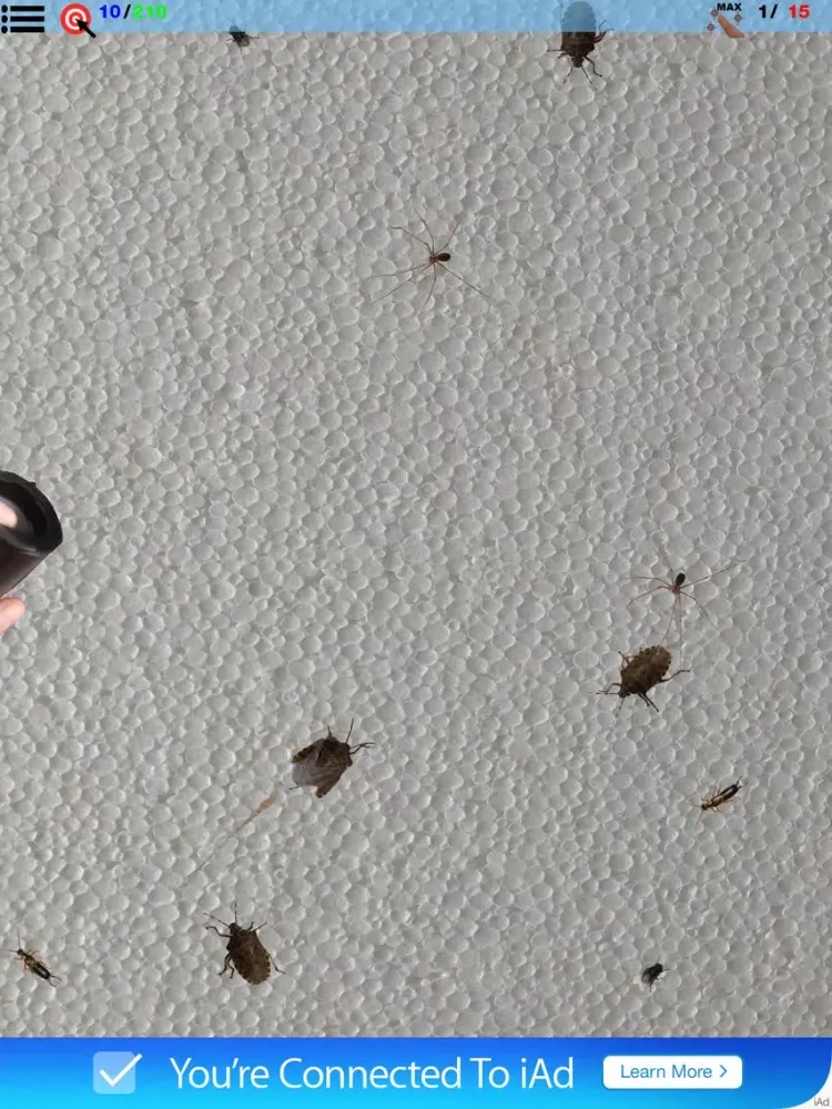 Bytesects Real insects ants smasher game and screen saver kids game iPad  スクリーンショット