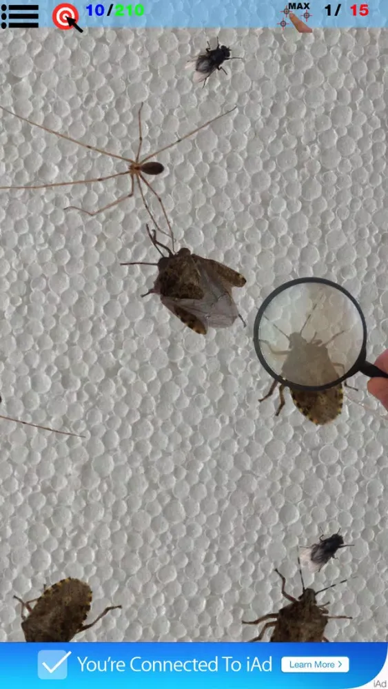 Bytesects Real insects ants smasher game and screen saver kids game スクリーンショット