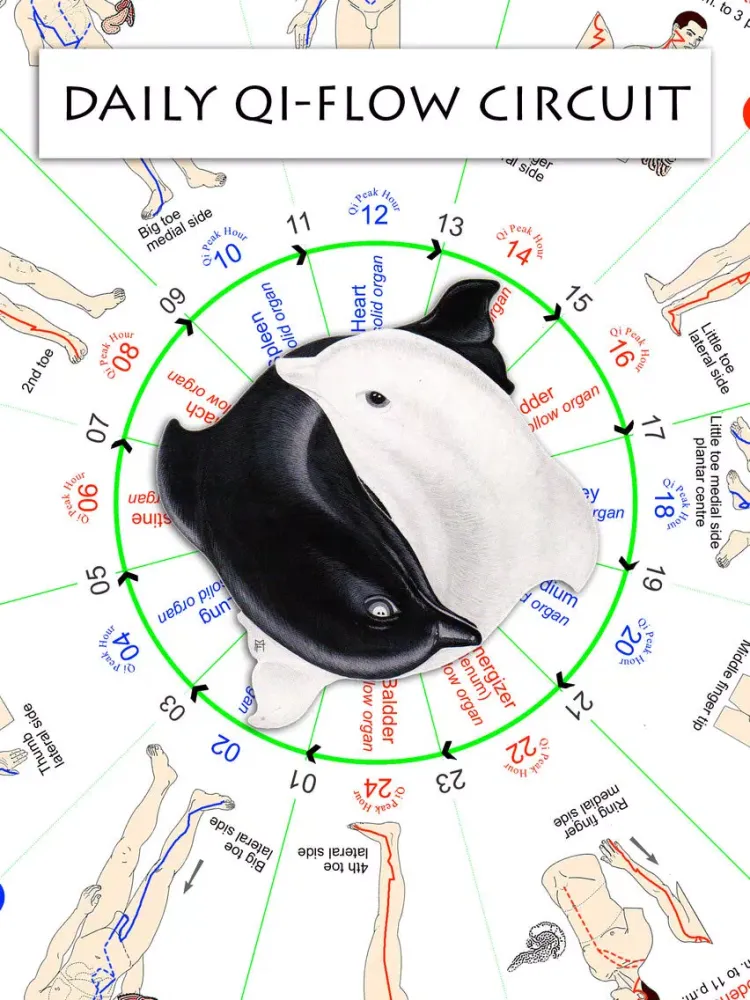 Capturas de tela do Daily Qi-Flow Circuit iPad 