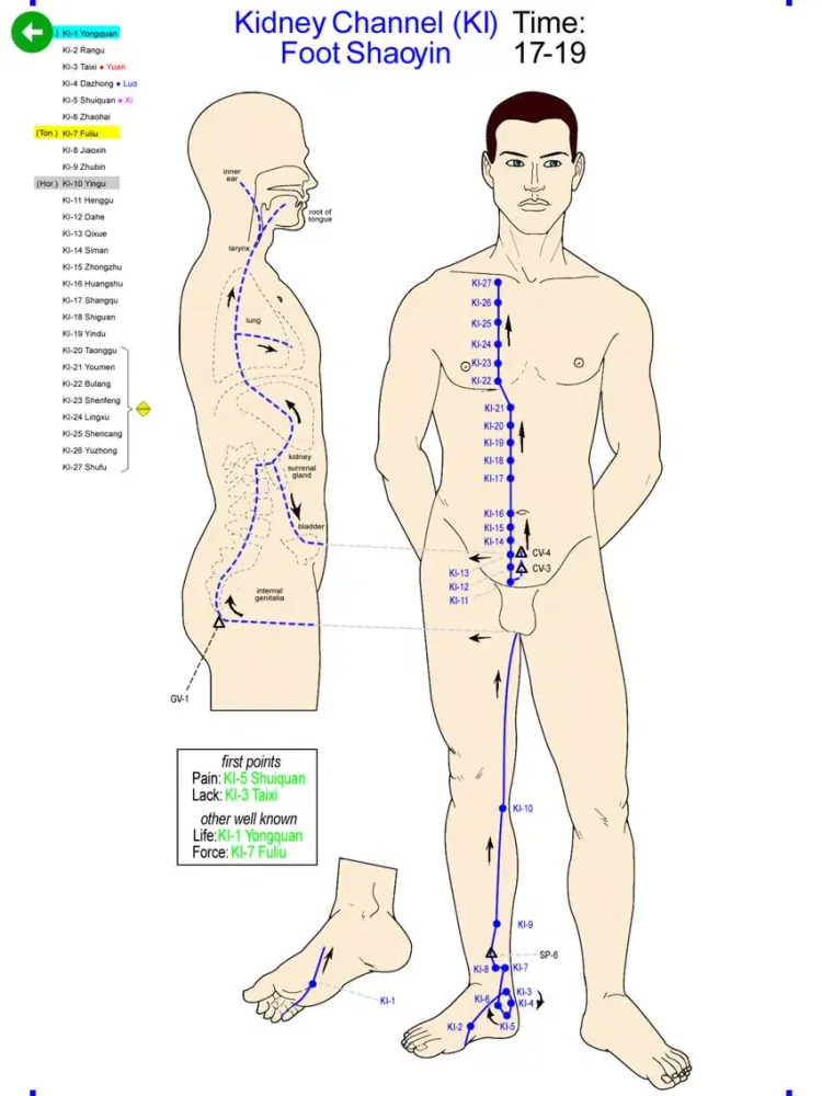 Capturas de tela do Daily Qi-Flow Circuit iPad 