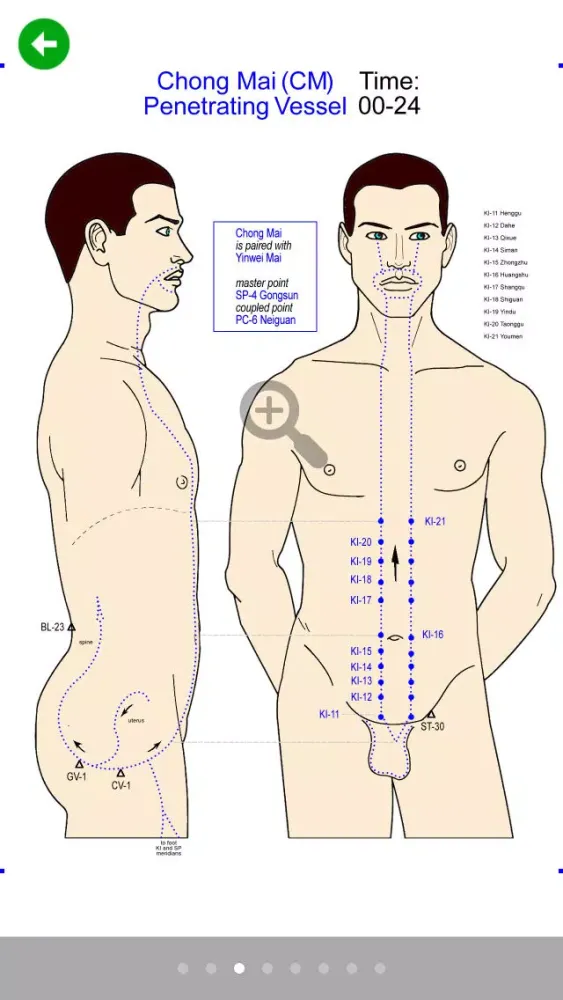 Capturas de tela do Daily Qi-Flow Circuit