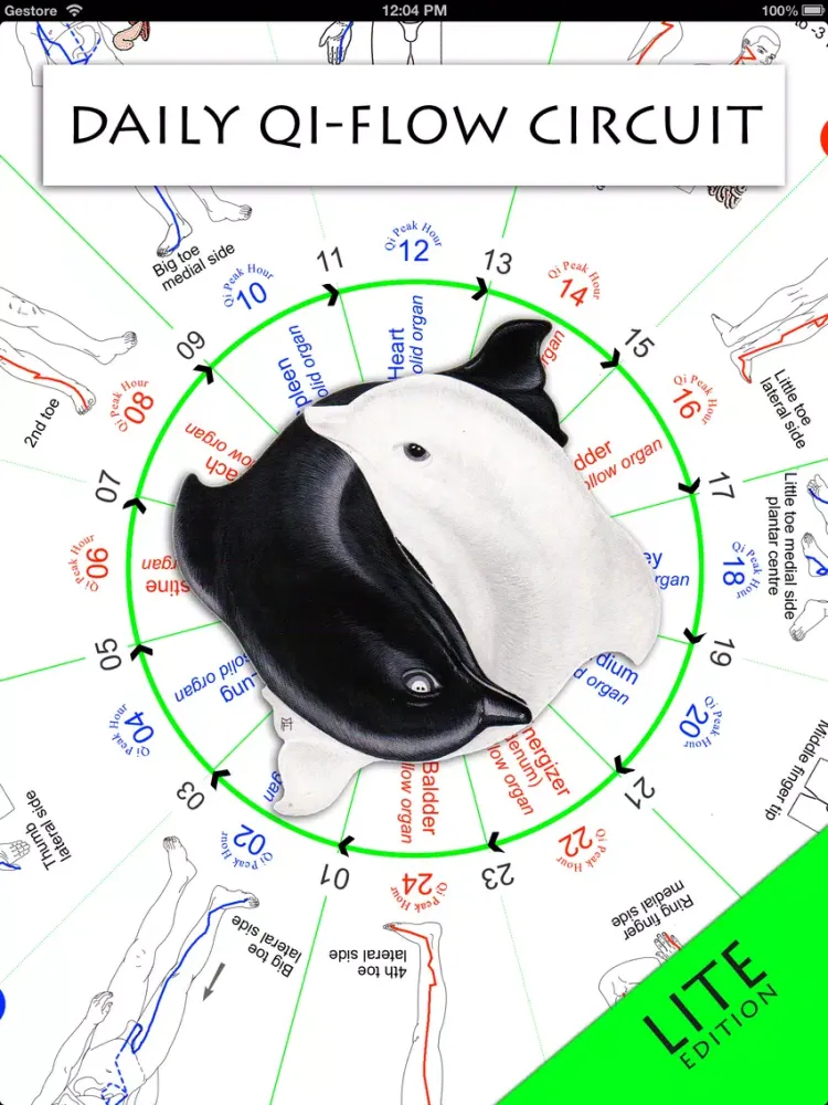 تصاویر Daily Qi-Flow Circuit Lite iPad 