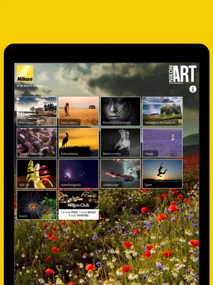 Capturas de pantalla de Nikon Art iPad 