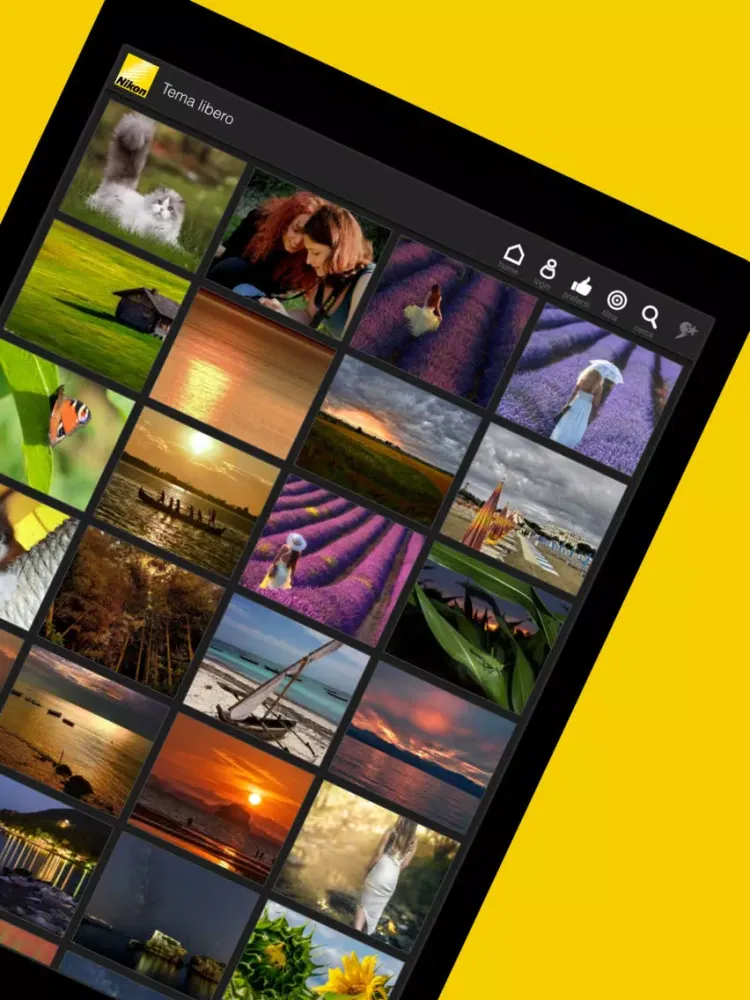 Capturas de pantalla de Nikon Art iPad 