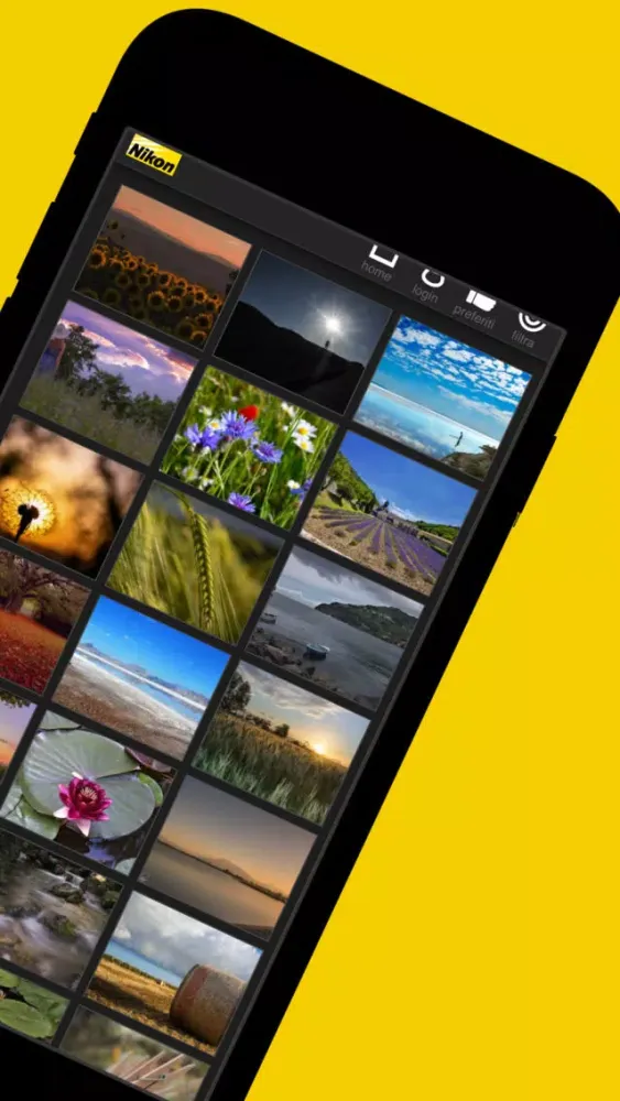 Capturas de pantalla de Nikon Art