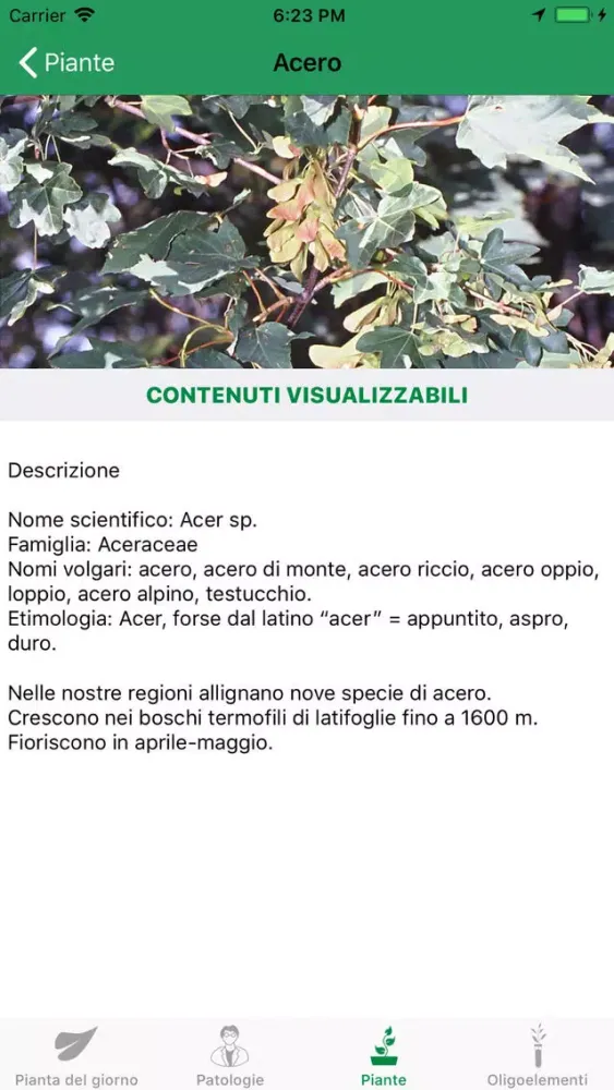 تصاویر Fitoterapia per tutti