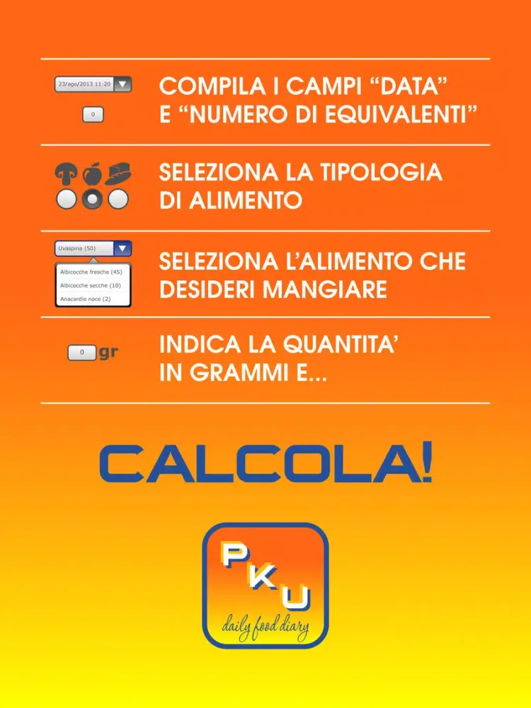 Capturas de tela do PKU daily food diary light iPad 