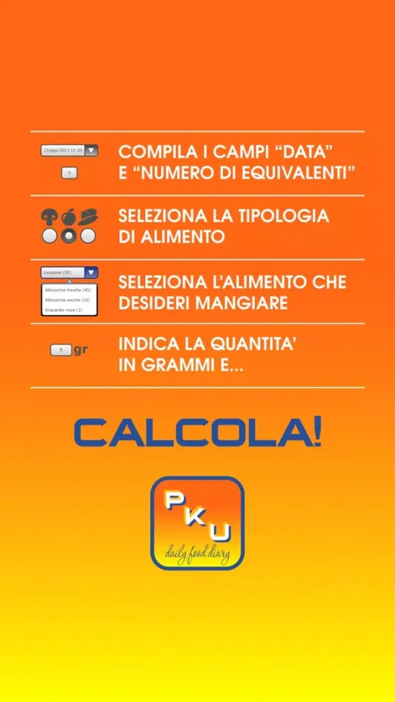 Capturas de tela do PKU daily food diary light