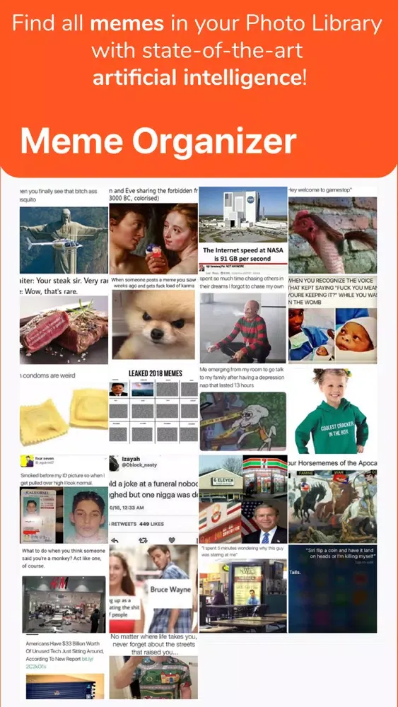 Скриншоты Meme Organizer