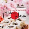 Haru Hana Ristorante Giapponese Haru Hana Ristorante Giapponese