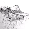 Scotsman Ice Scotsman Ice