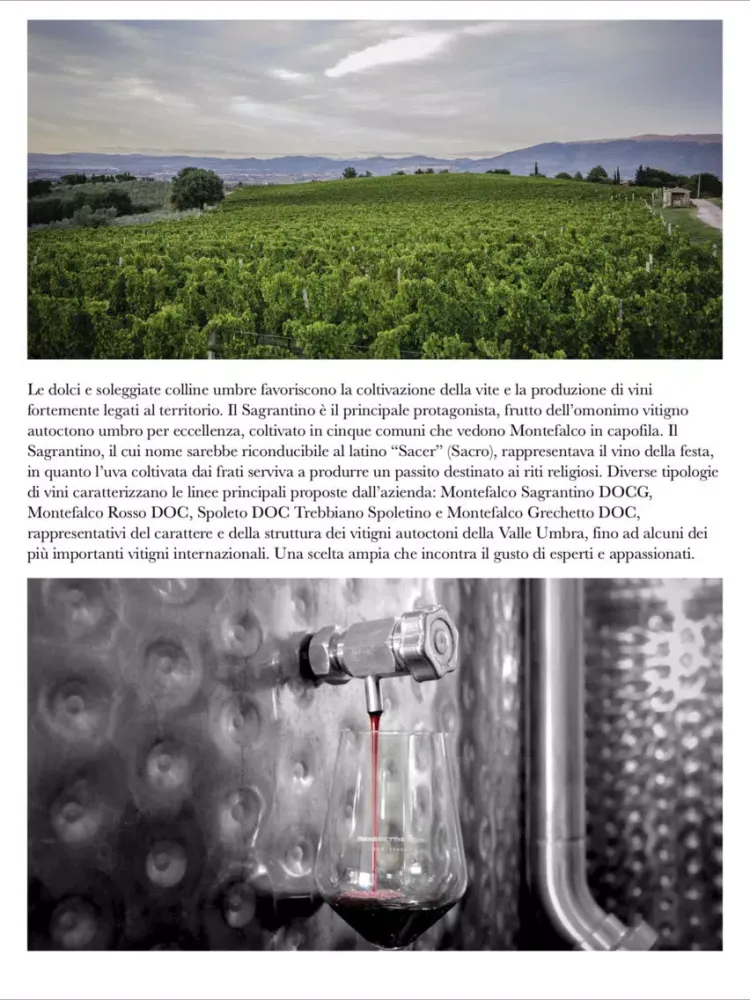 صور Benedetti & Grigi - Montefalco iPad 