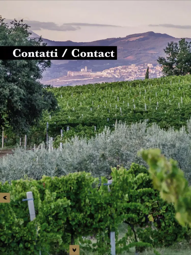 صور Benedetti & Grigi - Montefalco iPad 