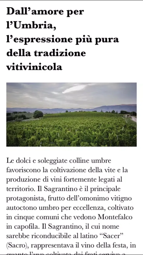 صور Benedetti & Grigi - Montefalco