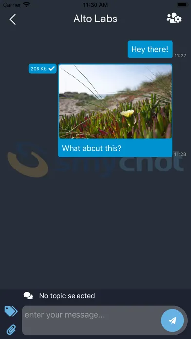 SmyChat應用截圖