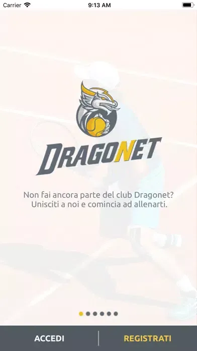 Dragonet Remote スクリーンショット