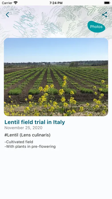 INCREASE CSA Screenshots
