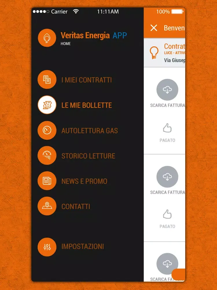 صور VeritasEnergia App gas e luce iPad 
