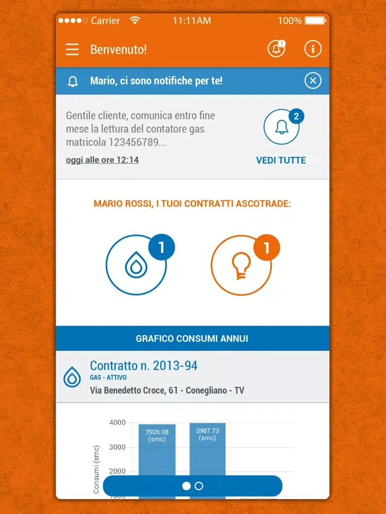 صور VeritasEnergia App gas e luce iPad 