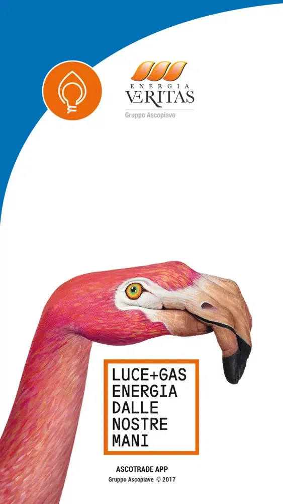 صور VeritasEnergia App gas e luce