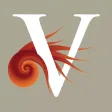 Vivo - Dal mare alla padella Vivo - Dal mare alla padella