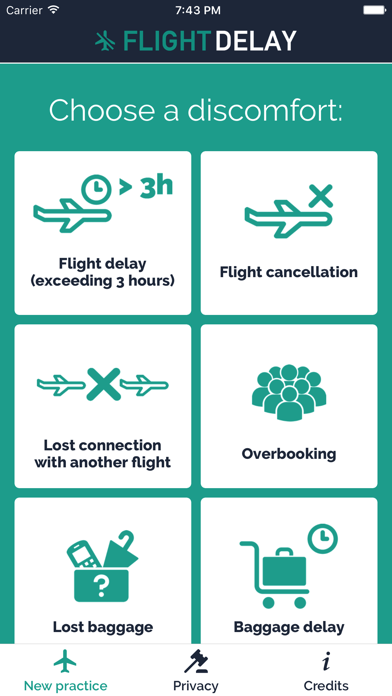 Tangkapan skrin Flight Delay