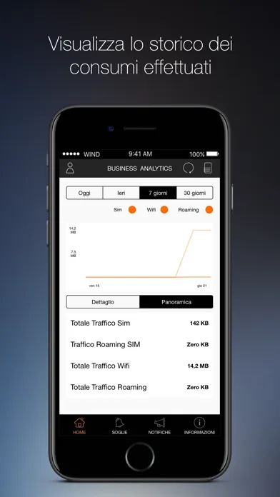 Business Analytics スクリーンショット