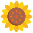 Pizzeria al Girasole