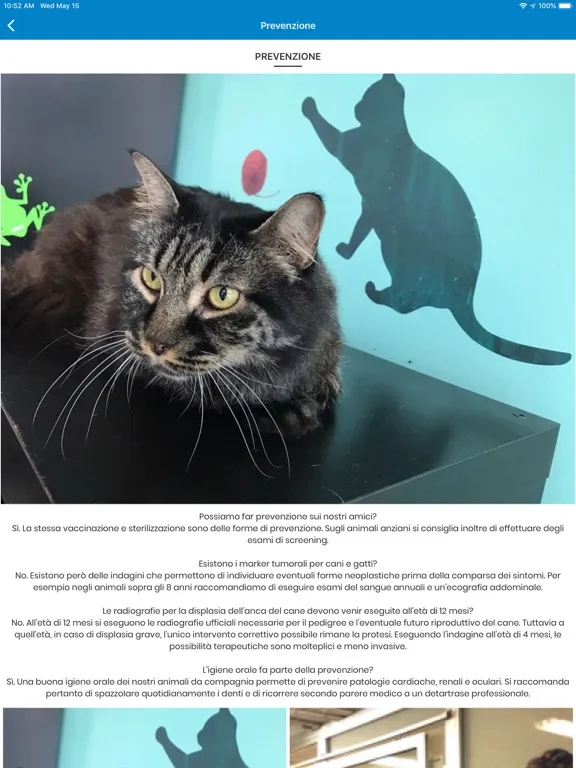 Tangkapan layar Clinica Veterinaria CAB iPad 