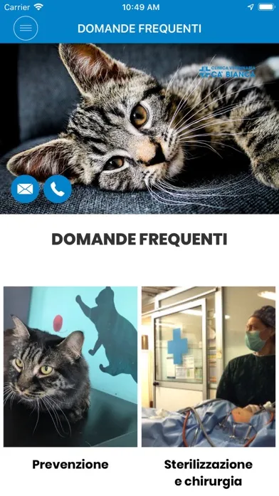 Tangkapan layar Clinica Veterinaria CAB