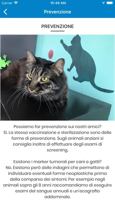 Tangkapan layar Clinica Veterinaria CAB