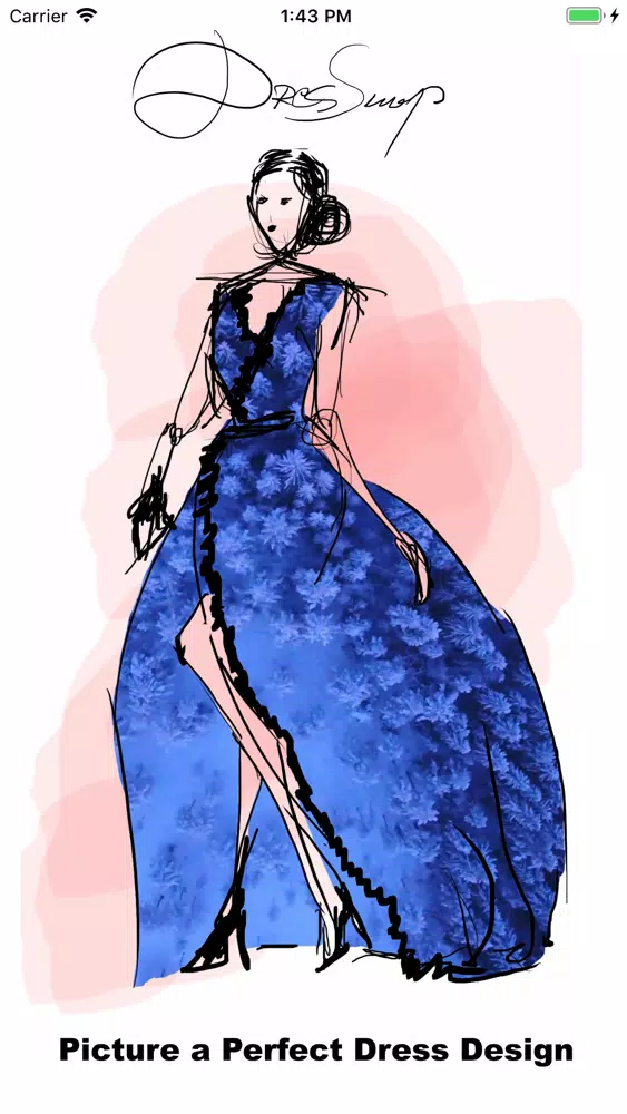 DresSnap স্ক্রিনশট
