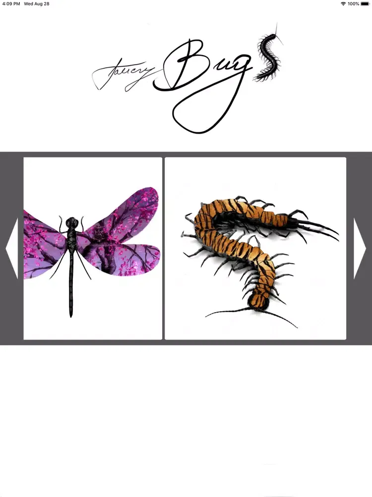 FancyBugz iPad  Ekran Görüntüleri