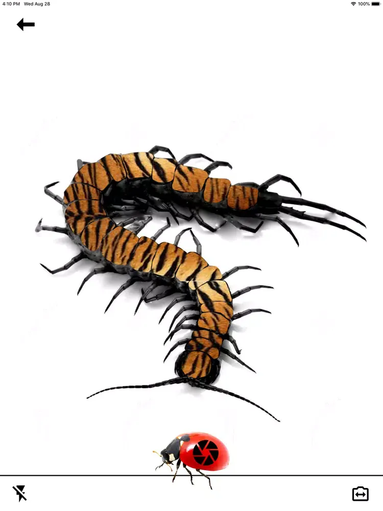 FancyBugz iPad  Ekran Görüntüleri