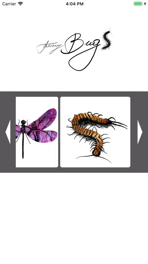 FancyBugz Ekran Görüntüleri