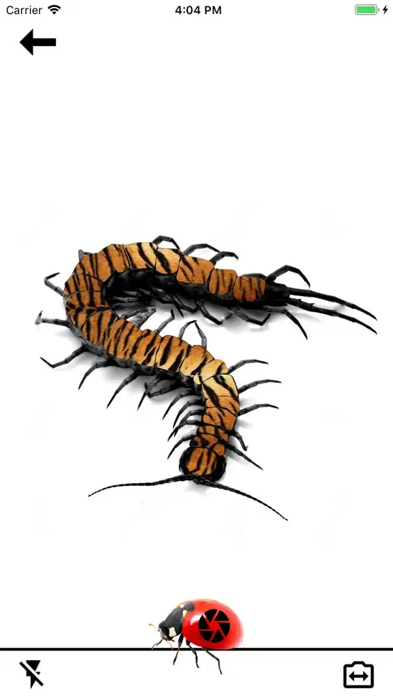 FancyBugz Ekran Görüntüleri
