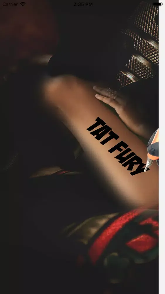 Tangkapan skrin TatFury