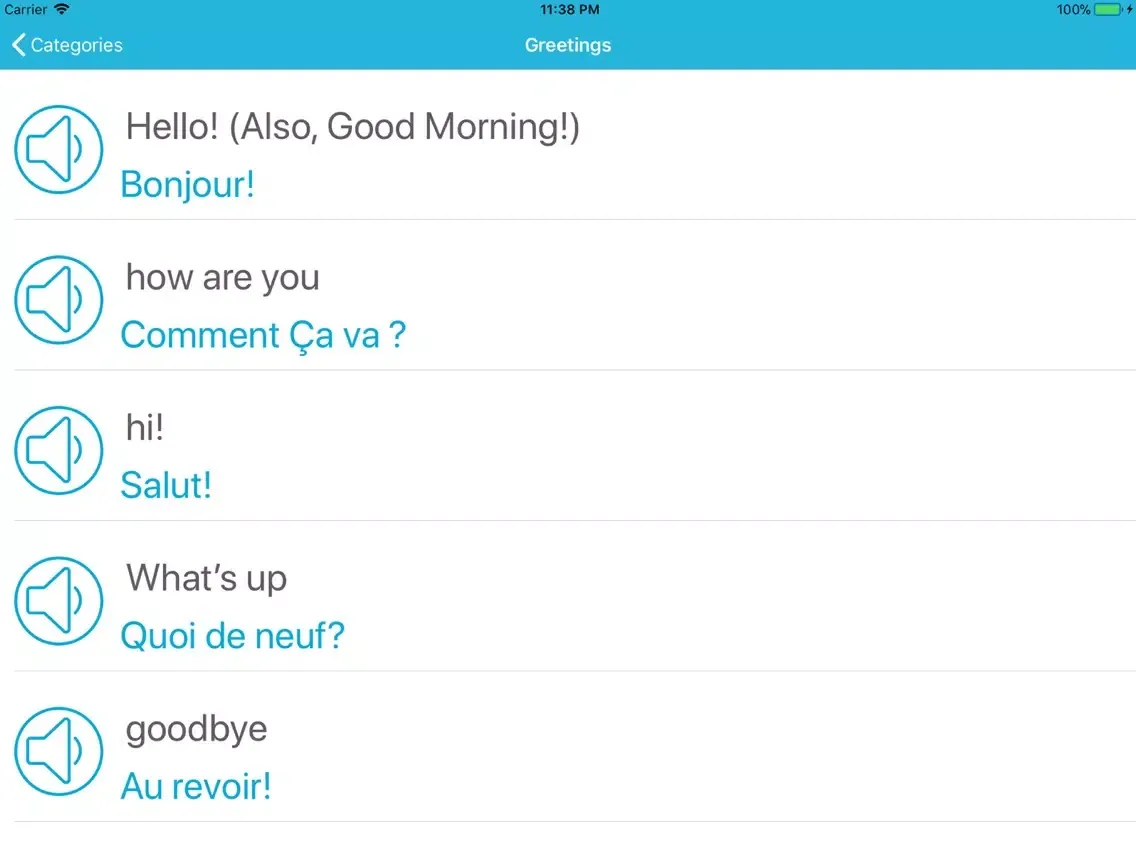Ảnh chụp màn hình của Learn French Phrases and Words iPad 