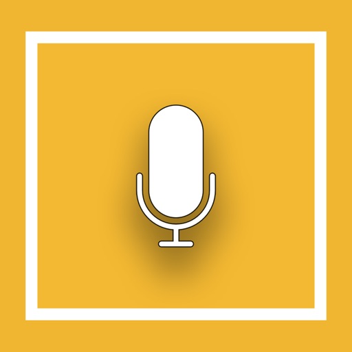 ملاحظات الصوتية Voice Notes