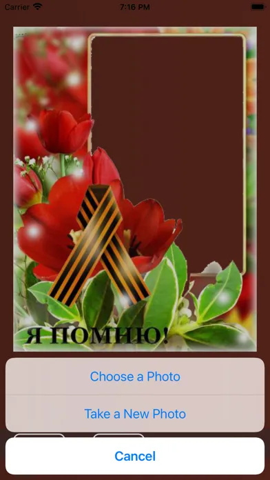 Screenshot di Immortal regiment