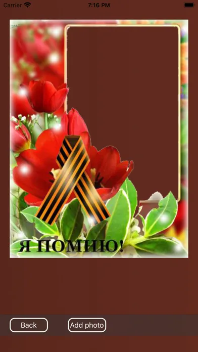 Screenshot di Immortal regiment