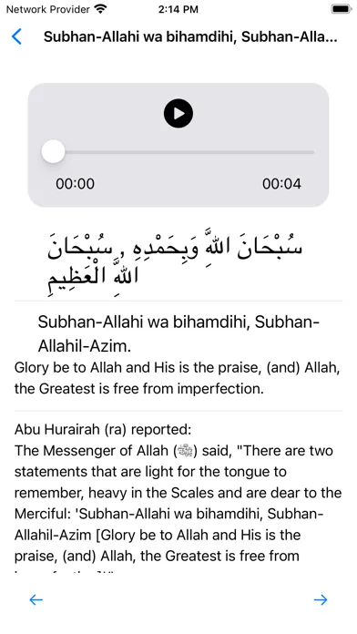 Capturas de tela do Dhikr and Tashbih