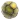 Hedra Rocks