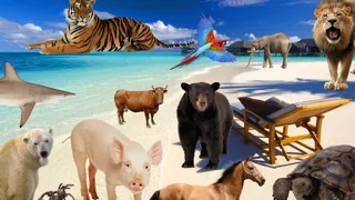Animal Photo Booth - Add Real Animals to Your Images سکرین شاٹس