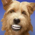 Very Funny Gifs - Share, Send, View Fun Images that will make You Laugh Very Funny Gifs - Share, Send, View Fun Images that will make You Laugh