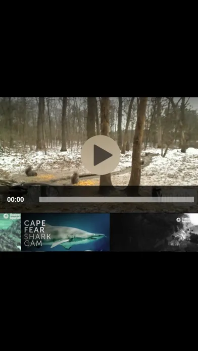 View Real Live Animals in the Wild Screenshots