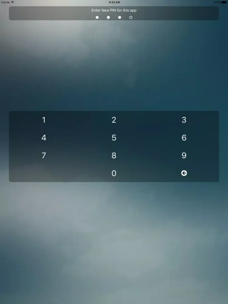 Скриншоты watchPass iPad 