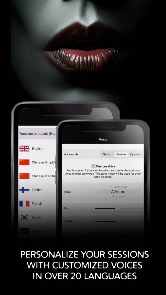 ภาพหน้าจอของ GhostTube